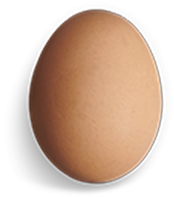 HUEVOS DE CORRAL